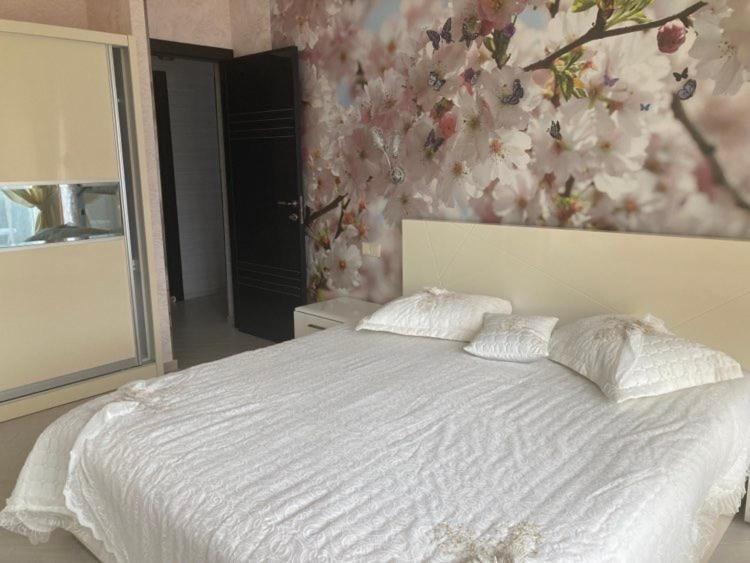 Apartments Villa Eden 科托尔 外观 照片
