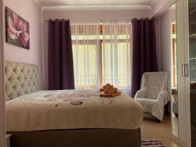 Apartments Villa Eden 科托尔 外观 照片
