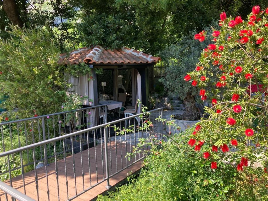 Apartments Villa Eden 科托尔 外观 照片