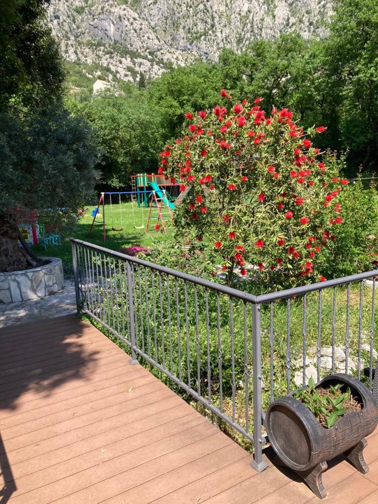Apartments Villa Eden 科托尔 外观 照片